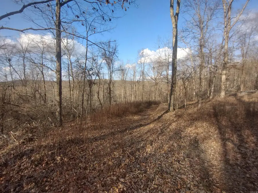 140 Brushy Creek Rd, Mountain View, AR 72560 - Image #3