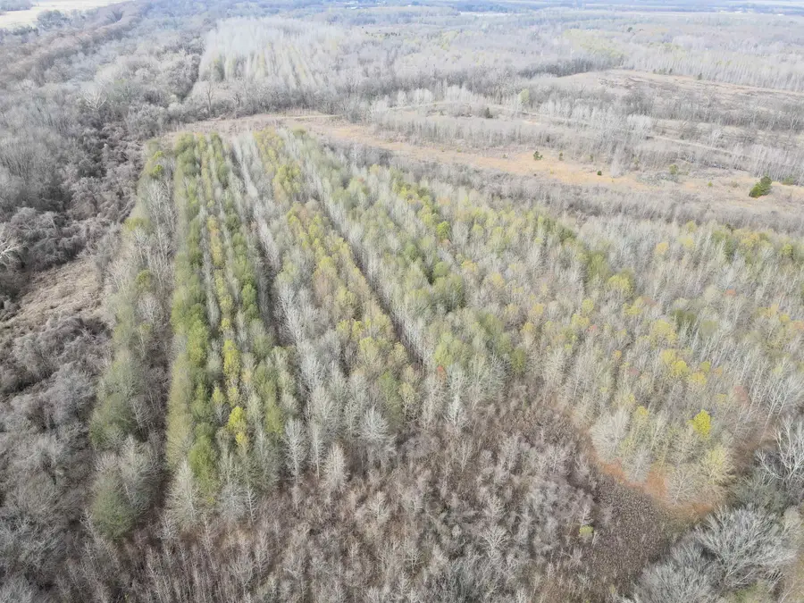 000 Case Road, Little Rock, AR 72206 - Image #3