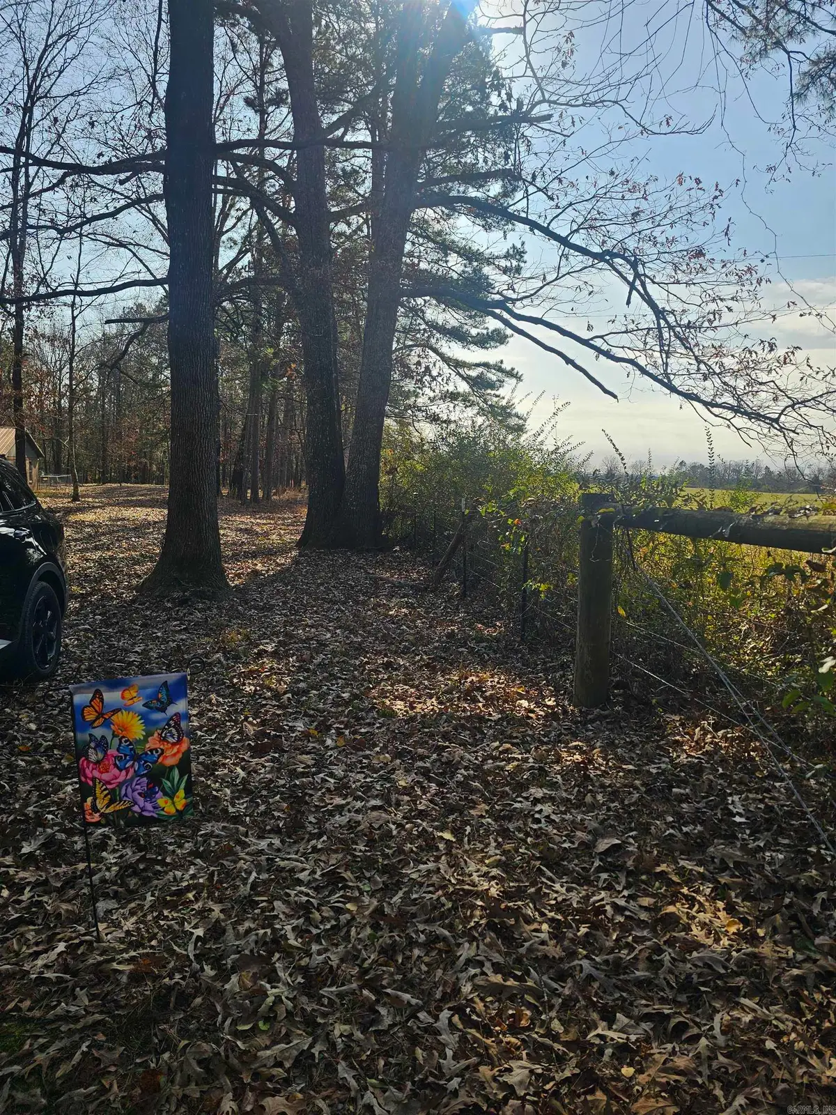 Unk Gilbert, Mena, AR 71953 - Image #1