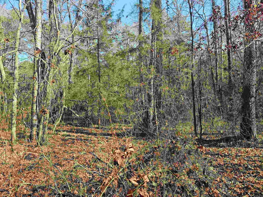 Unk Gilbert, Mena, AR 71953 - Image #3