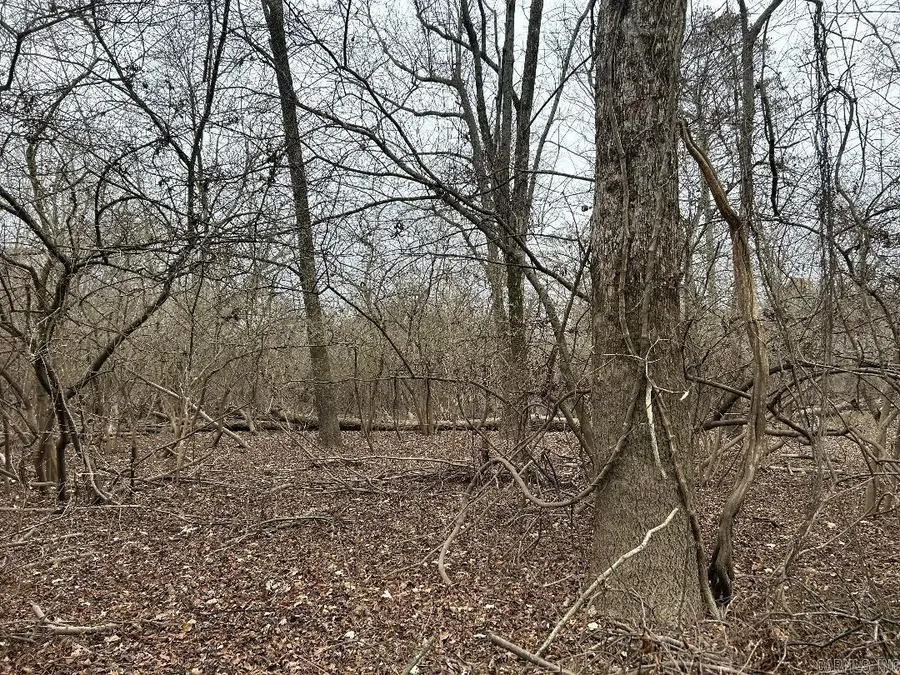 0 Phillips Rd 358, Poplar Grove, AR 72374 - Image #2