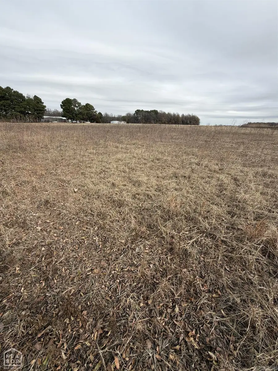 1 South Hwy 91, Walnut Ridge, AR 72476 - #2