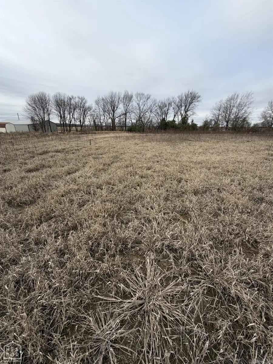 1 South Hwy 91, Walnut Ridge, AR 72476 - #3