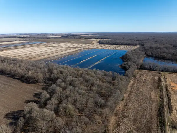 000 County Road 113, Corning, AR 72422