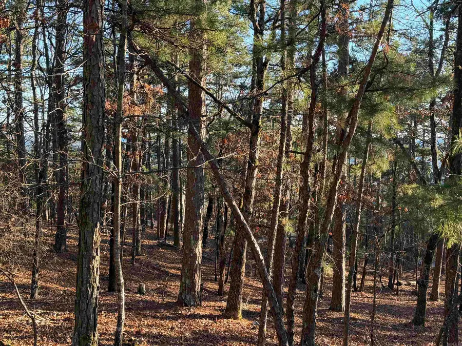 3 Vecilla Lane, Hot Springs Village, AR 71909 - Image #2