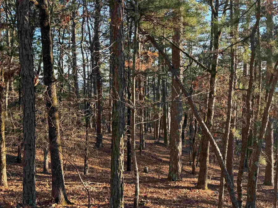 3 Vecilla Lane, Hot Springs Village, AR 71909 - Image #3