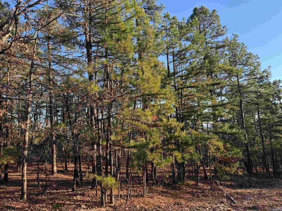 5 Vecilla Lane, Hot Springs Village, AR 71909 - Image #2