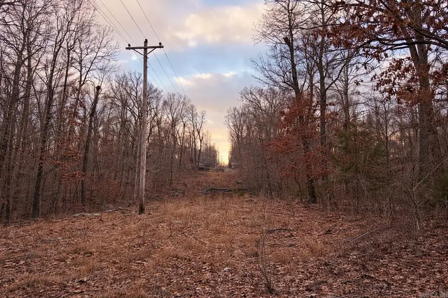 000 Acres Road, Williford, AR 72482 - Image #3