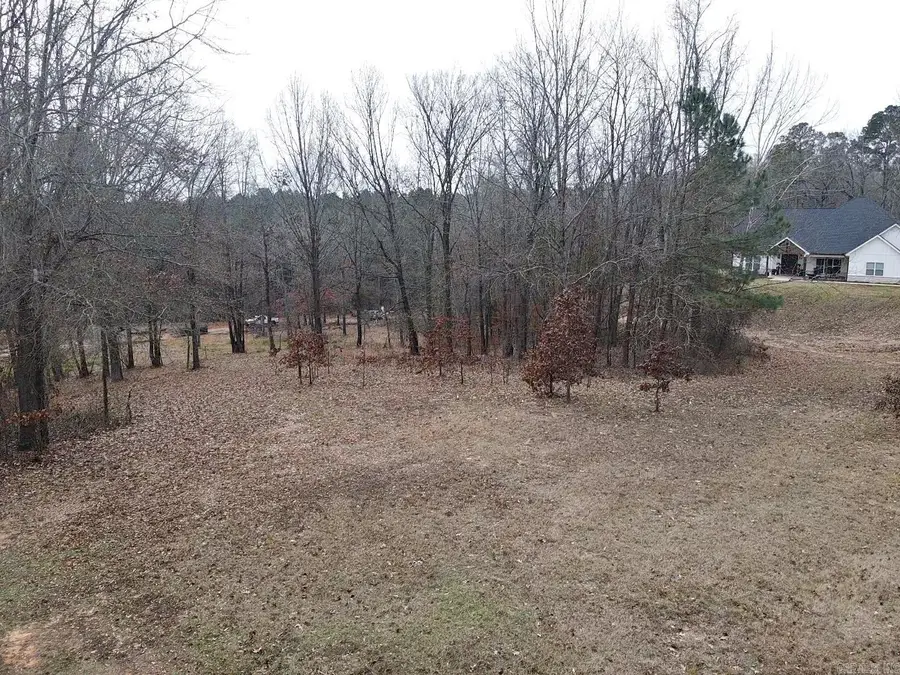 Lot 25 Birch Cove, Arkadelphia, AR 71923 - #2