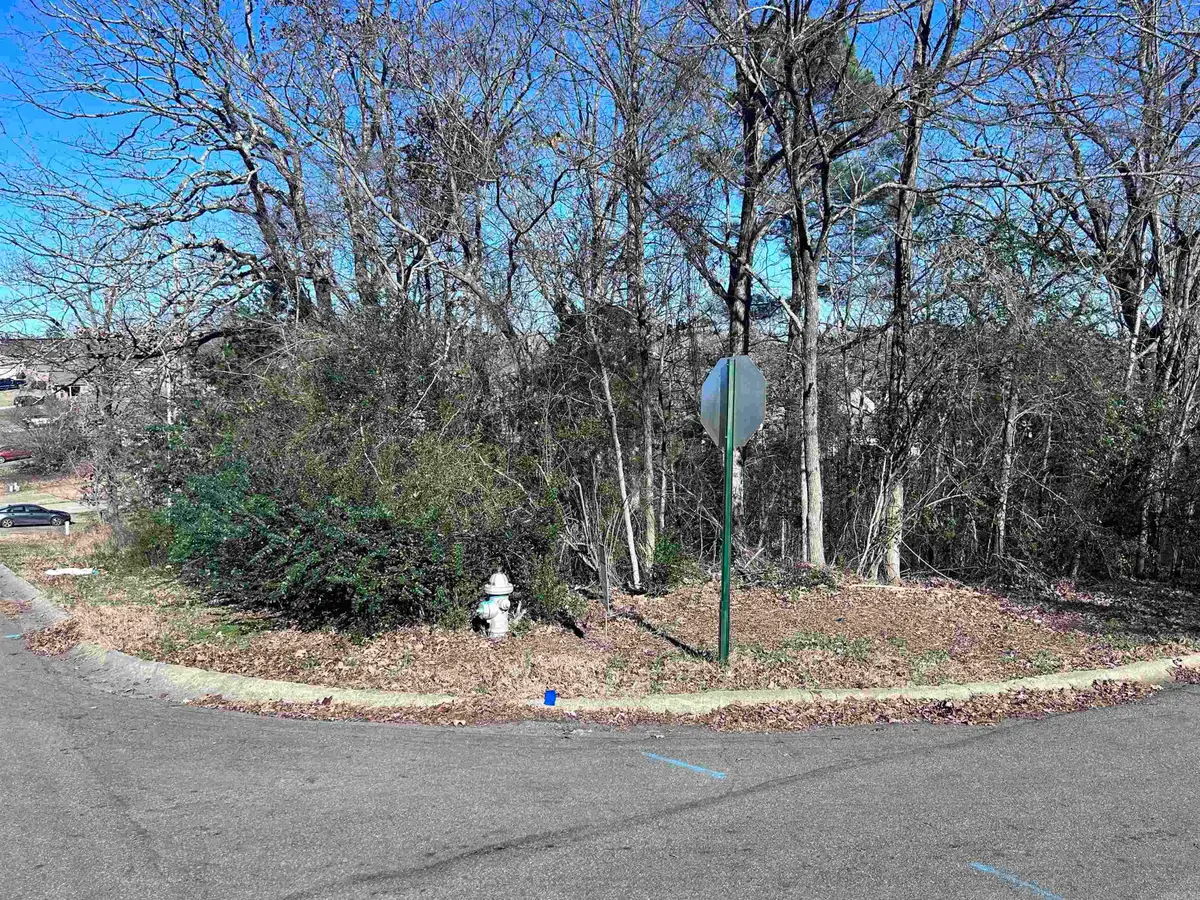 Lot 57 Koko Drive, Sherwood, AR 72120 - Image #1
