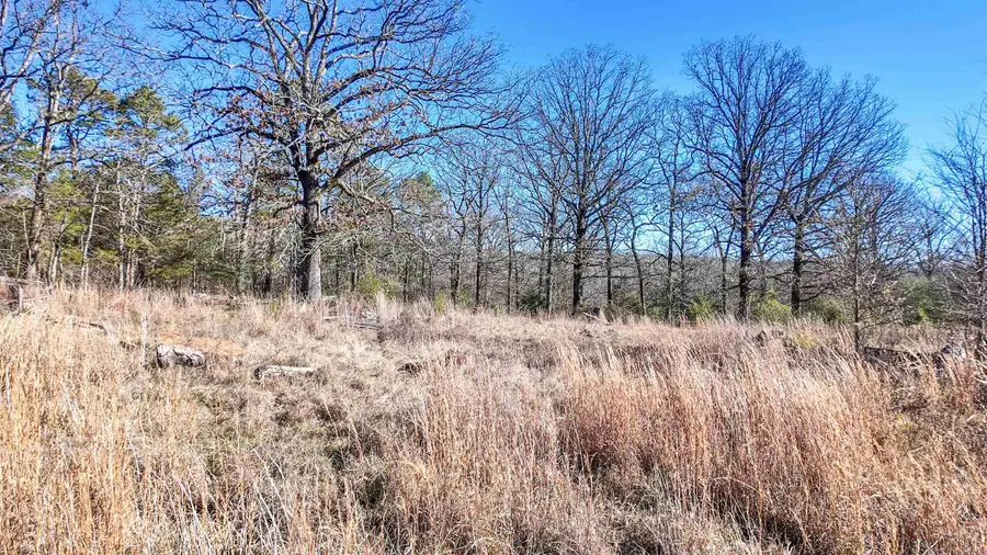 3809 Batesville Blvd, Batesville, AR 72501 - Image #3