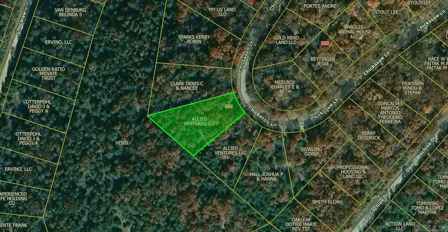 Lot 4 Chickasaw Lane, Holiday Island, AR 72631 - Image #2