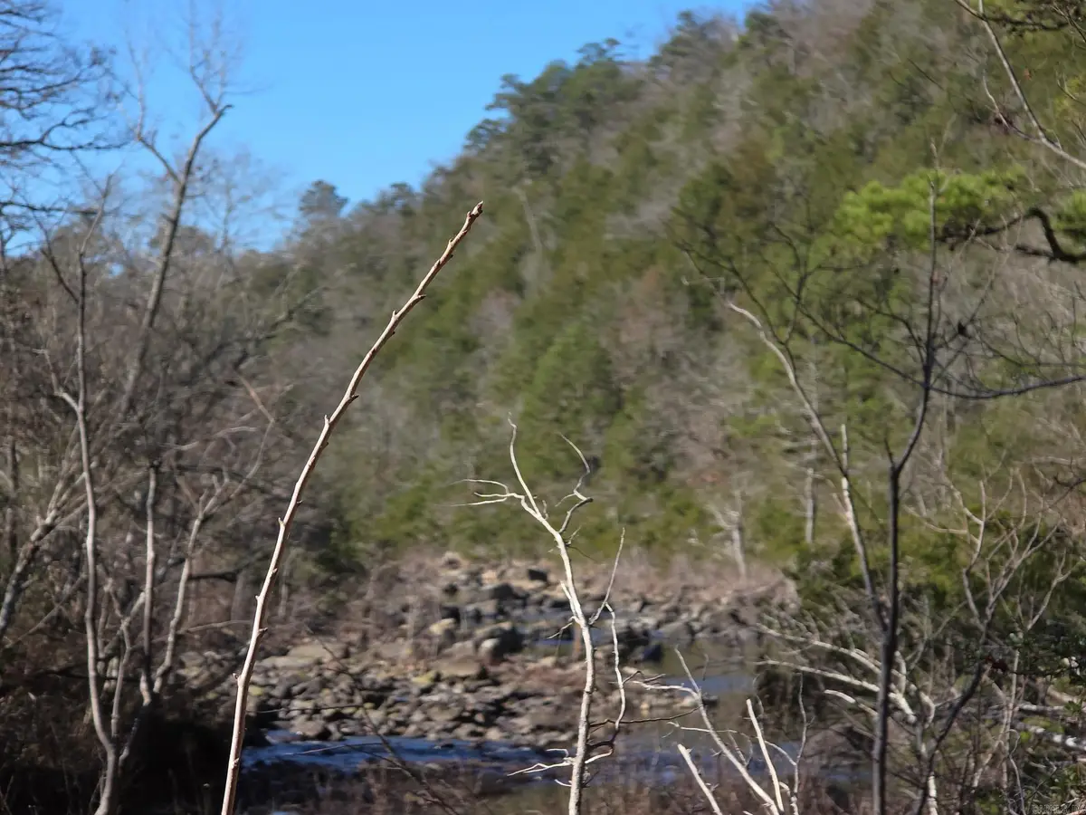 TBD To Be Named, Gillham, AR 71841 - Image #1