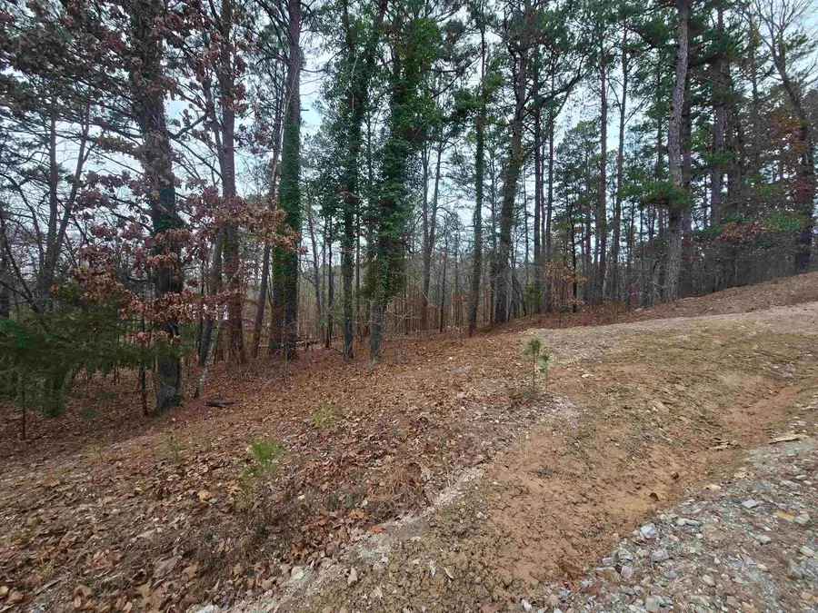 TBD Doubloon Circle, Hot Springs, AR 71913 - Image #2