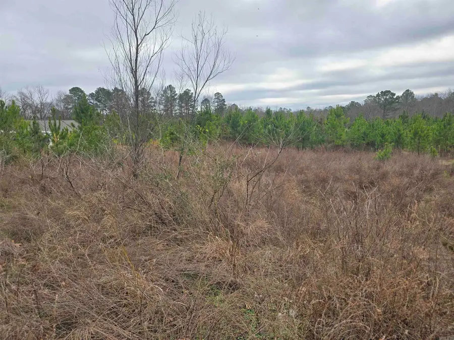 TBD Wilson Lake Lane, Hot Springs, AR 71901 - Image #2