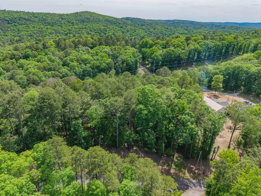 LOT 350A Independence Drive, Hot Springs, AR 71913 - Image #3