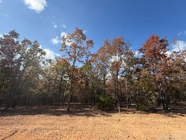 14 Summer Tyme Drive, Greenbrier, AR 72058 - Image #2