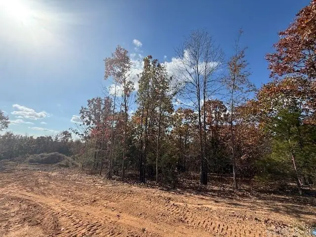 22 Summer Tyme Drive, Greenbrier, AR 72058 - Image #2