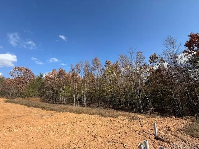 25 Summer Tyme Drive, Greenbrier, AR 72058 - Image #3