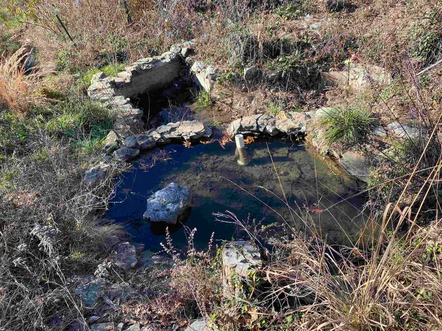 267 Mayfield Lane, Flippin, AR 72634 - Image #2