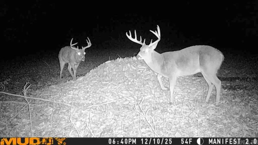 Address Withheld By Seller, Widener, AR 72394 - Image #2