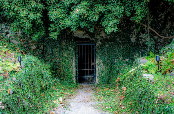 1770 Mc 5026, Valley Springs, AR 72682