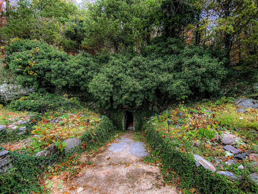 1770 Mc 5026, Valley Springs, AR 72682 - Image #3