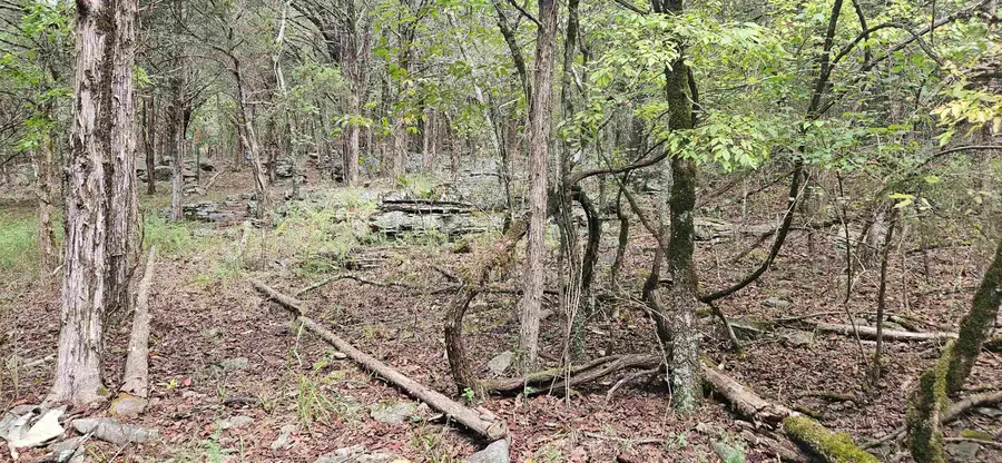 001-07553-000 Cr 638, Mountain Home, AR 72653 - Image #2