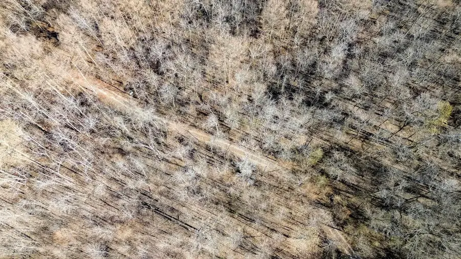 Address Withheld By Seller, Cherry Valley, AR 72324 - Image #3