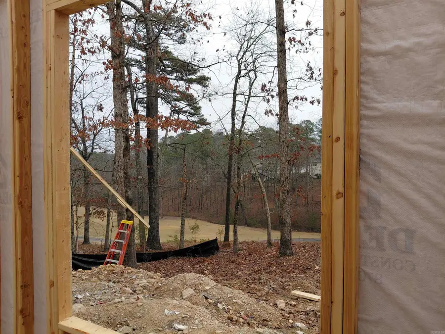 36 Baltanas Way, Hot Springs Village, AR 71909 - Image #3