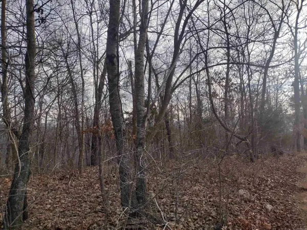 0 Geier Rd, Mountain View, AR 72560