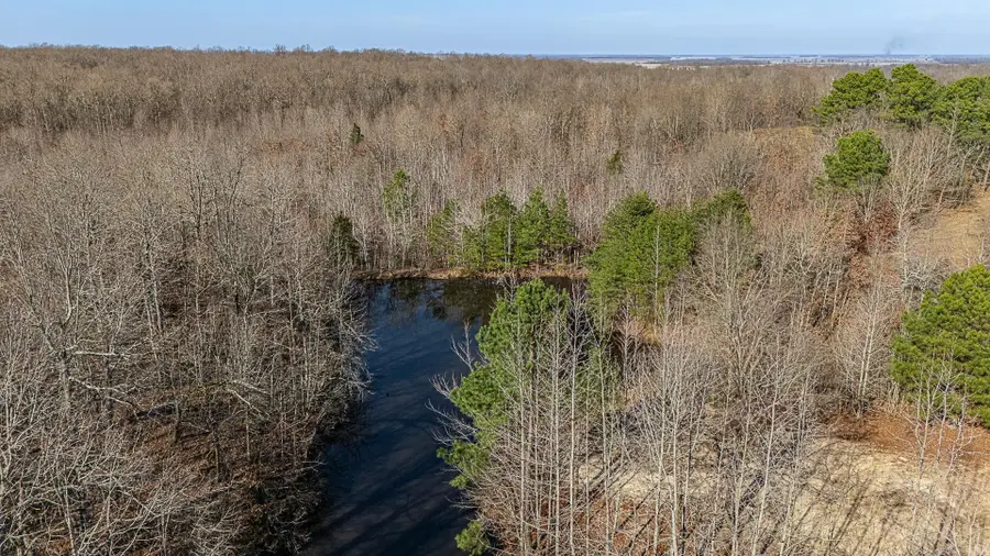 54 Cr 4061, Lafe, AR 72436 - Image #3