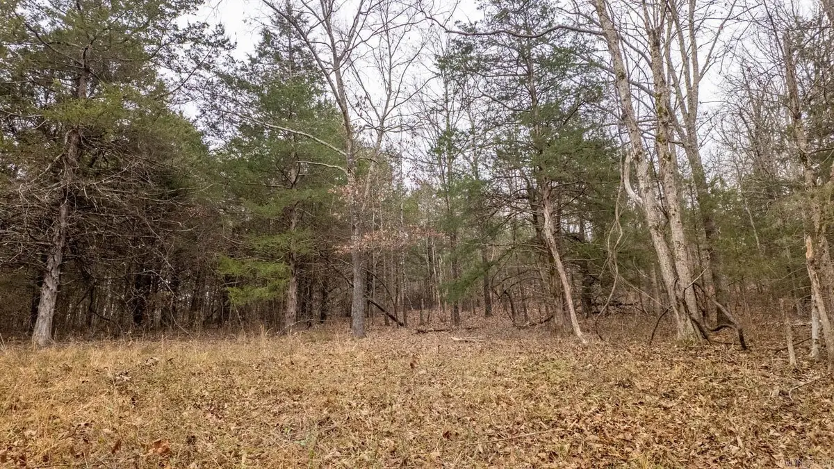 000 State Highway 142 West, Thayer, MO 65791 - #1