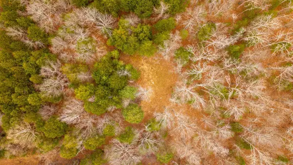 000 State Highway 142 West, Thayer, MO 65791