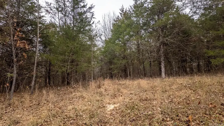 000 State Highway 142 West, Thayer, MO 65791 - #3