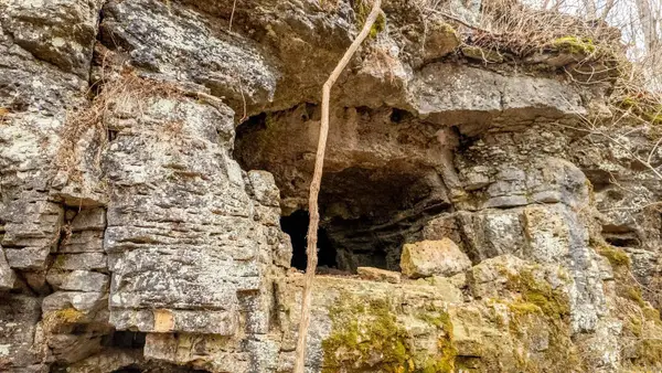 000 County Road 19-a, Alton, MO 65606