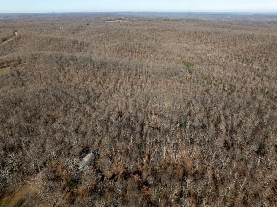 2719 Nubbin Ridge Road, Ravenden Springs, AR 72460 - Image #3