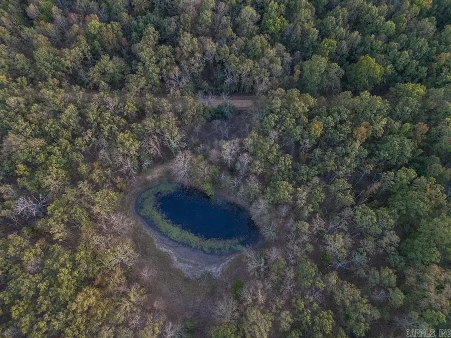 Address Withheld By Seller, Ravenden, AR 72459 - Image #2