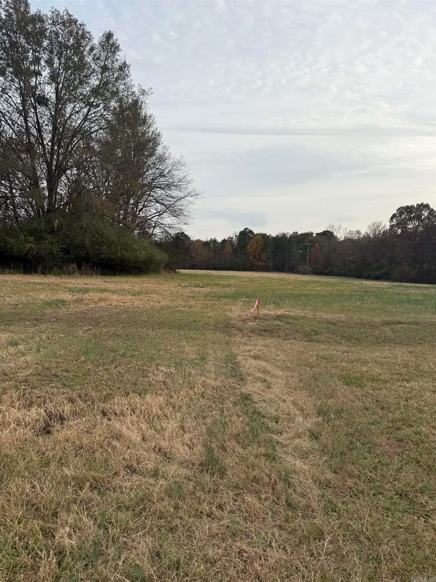 477 Hemsptead 29, McCaskill, AR 71847 - Image #3