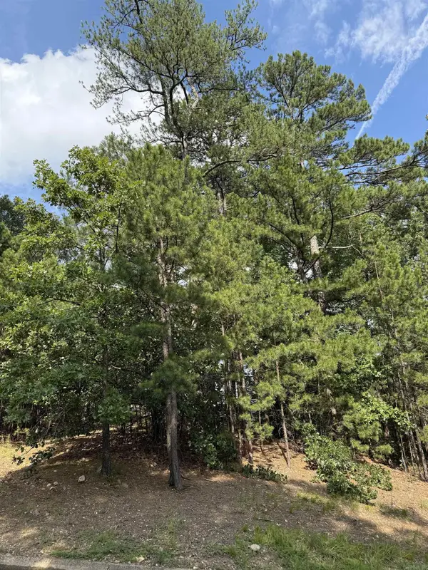 Lot 8 Beckenham Cv, Little Rock, AR 72212