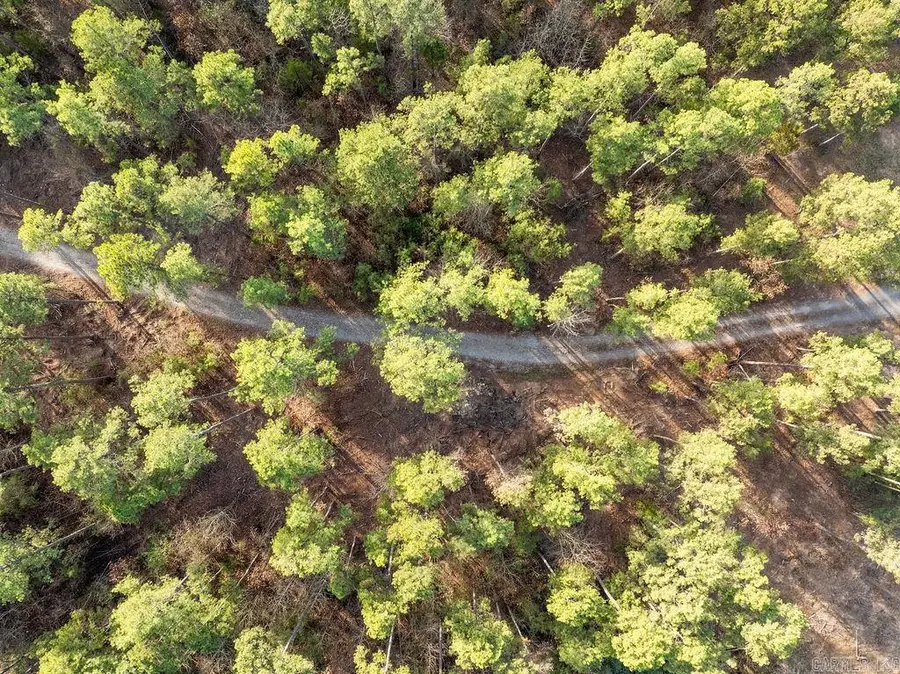 260 S Sawmill Road, Quitman, AR 72131 - Image #2