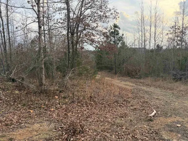 TBD Easement Road Polk 414, Mena, AR 71953