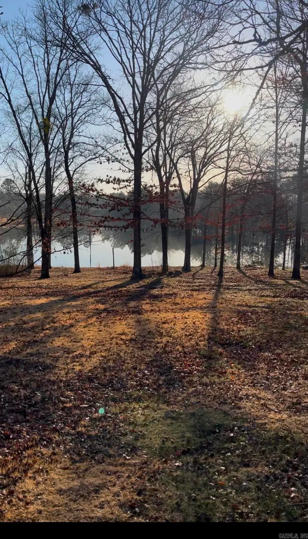 Clinton Kip Lane, Clinton, AR 72031 - #1