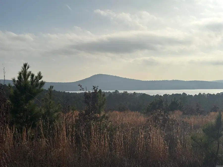 Lot 75 Waterview Drive, Roland, AR 72135 - Image #3