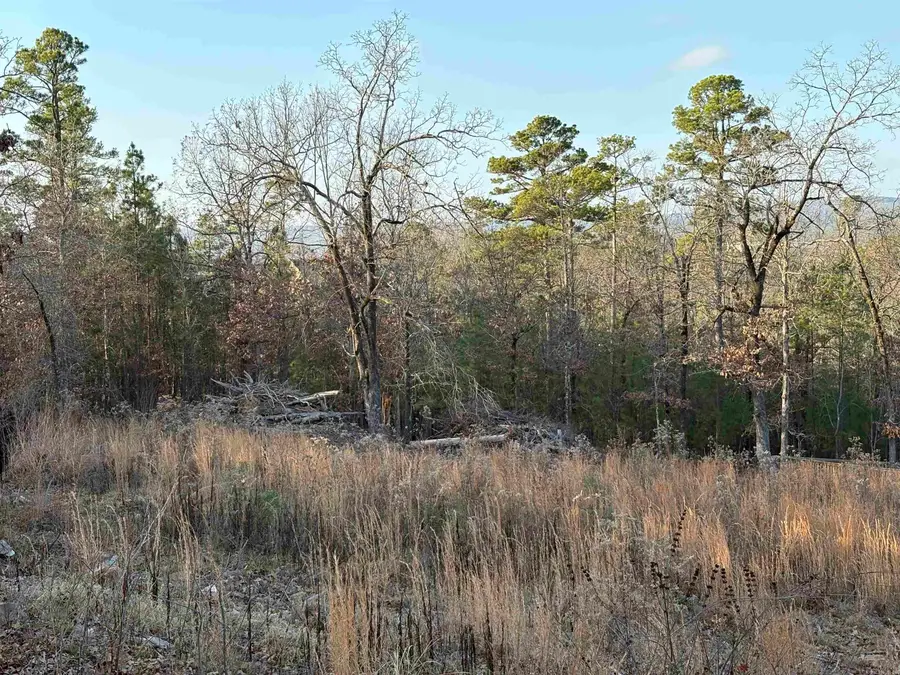 Lot 33 Waterview Drive, Roland, AR 72135 - Image #3