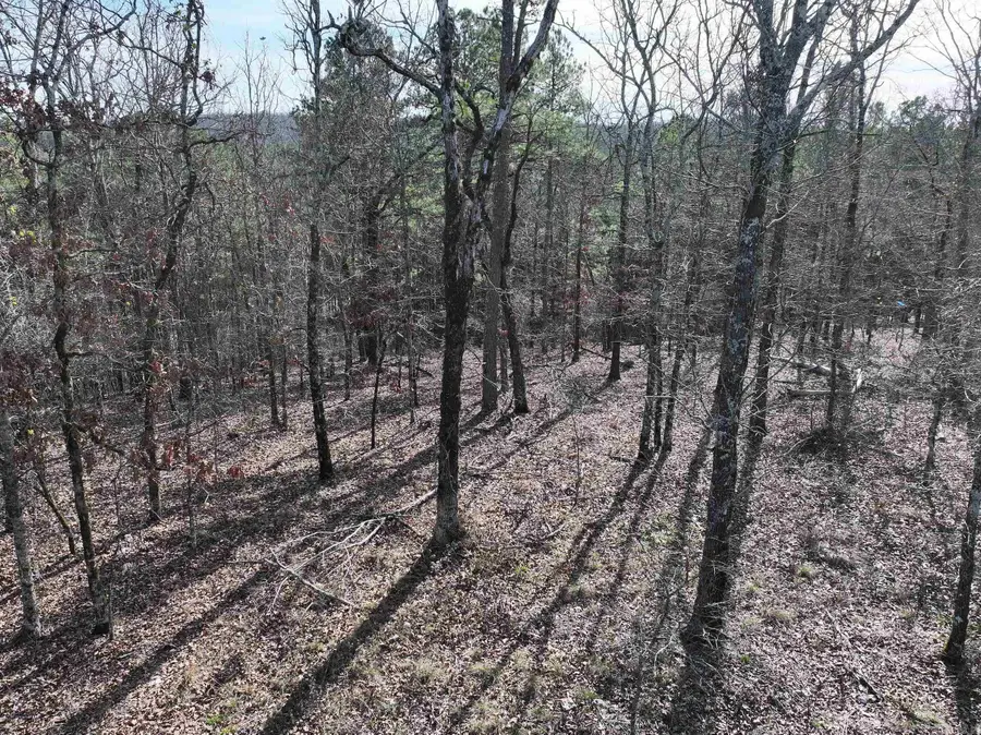 3373 Highway 347, Bismarck, AR 71929 - Image #2