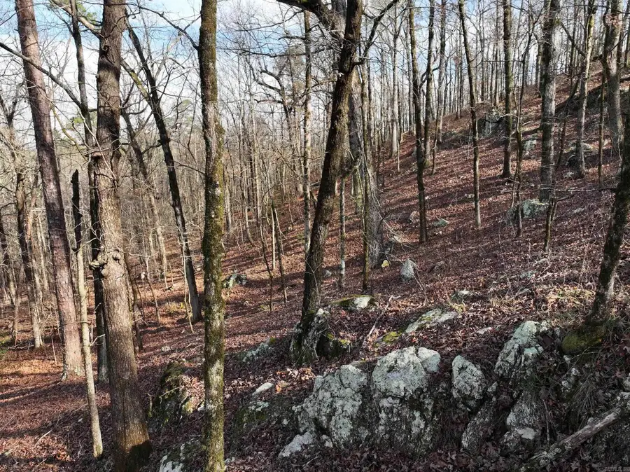 3373 Highway 347, Bismarck, AR 71929 - Image #3