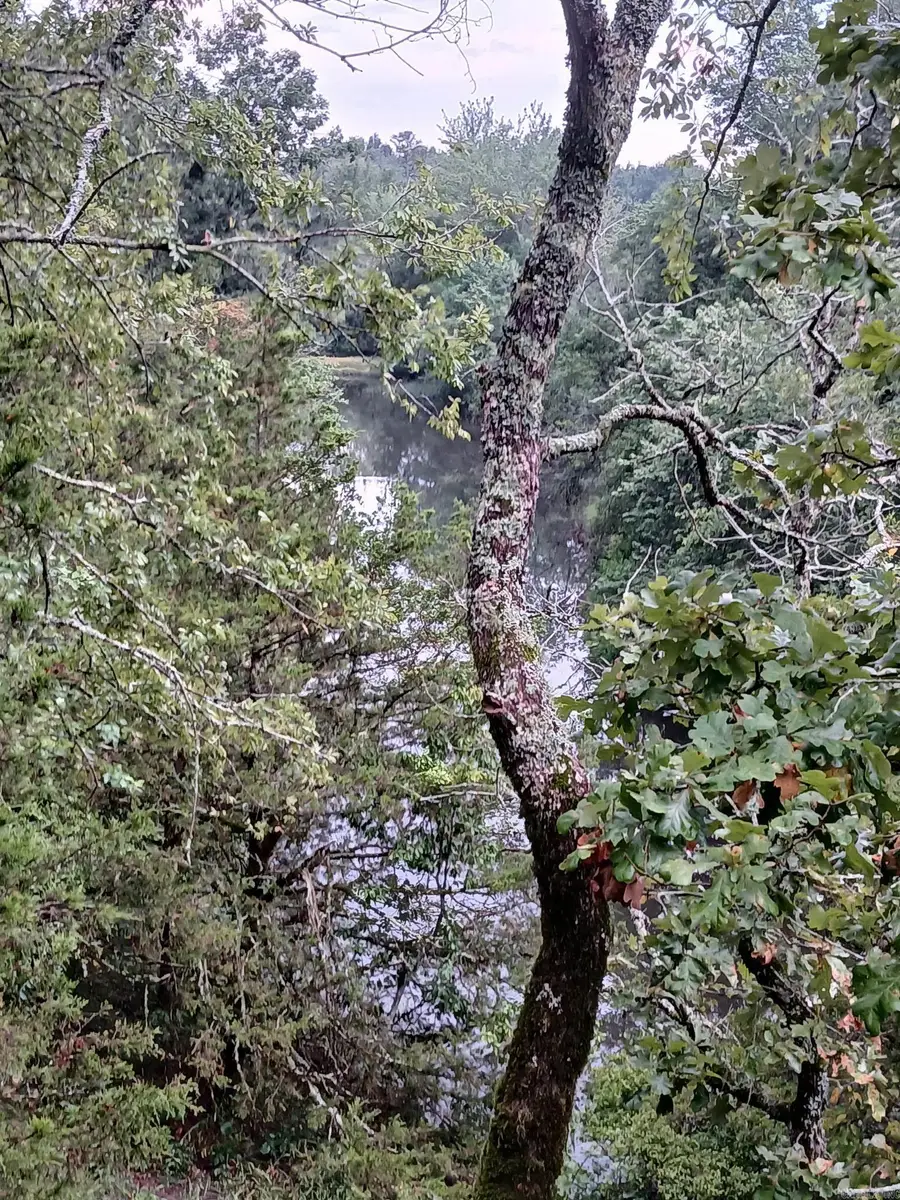 UNK Polk Road 74, Mena, AR 71953 - Image #2