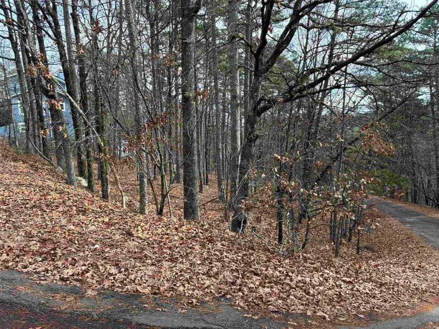 Lot 59 Almeria Way, Hot Springs Village, AR 71909 - Image #3