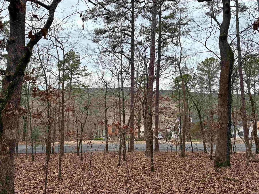 Lot 1 Fineza Way, Hot Springs Village, AR 71909 - Image #3